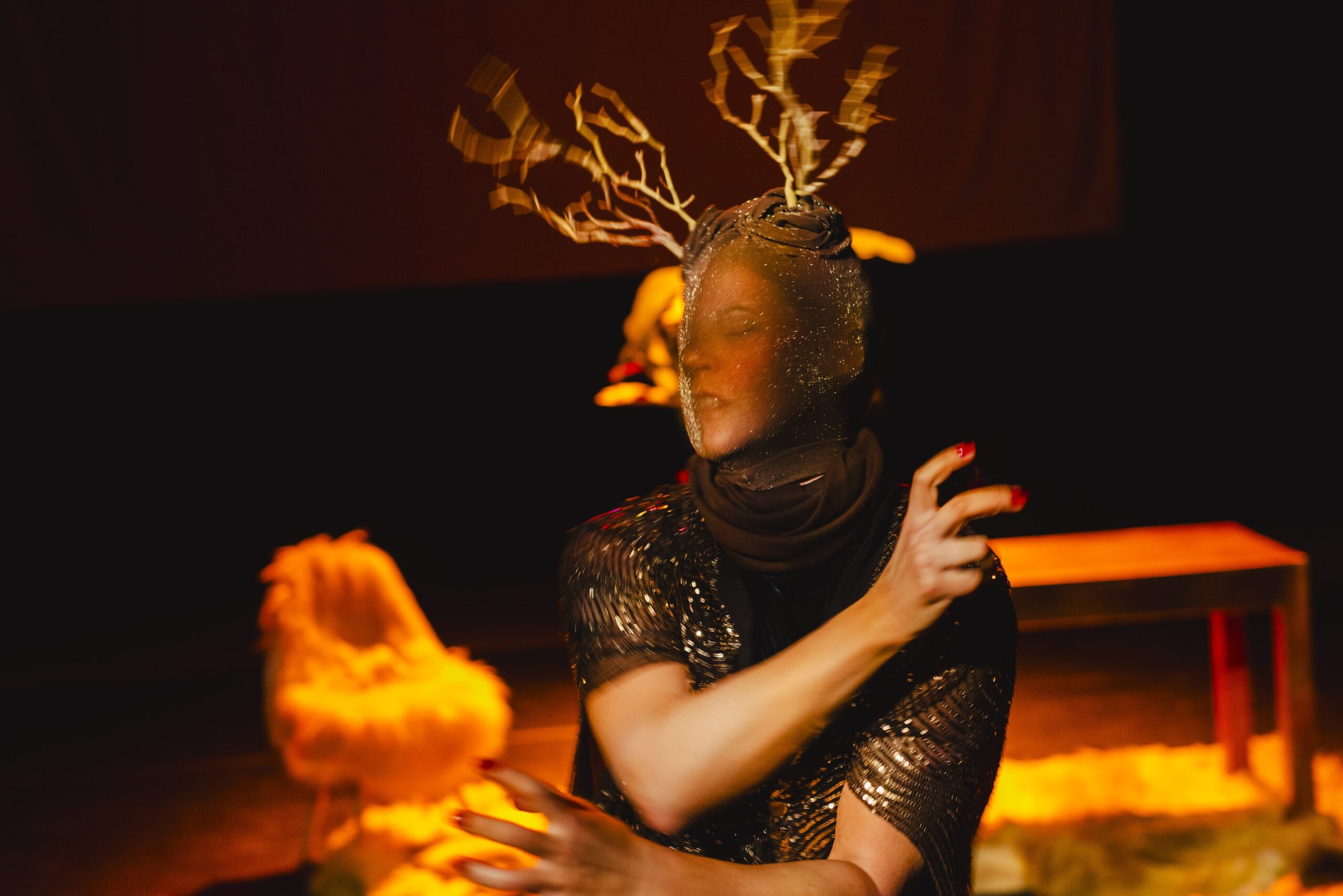 galhada foto diego bresani dsc1460