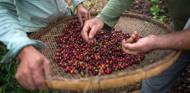 Foto: Mauro Pimentel/AFP