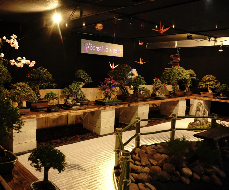 bonsai festival japao