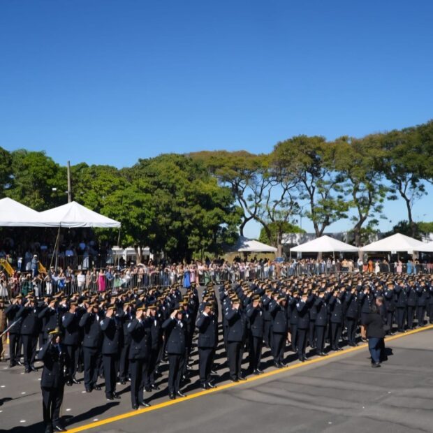 Foto: Divulgação/PMDF