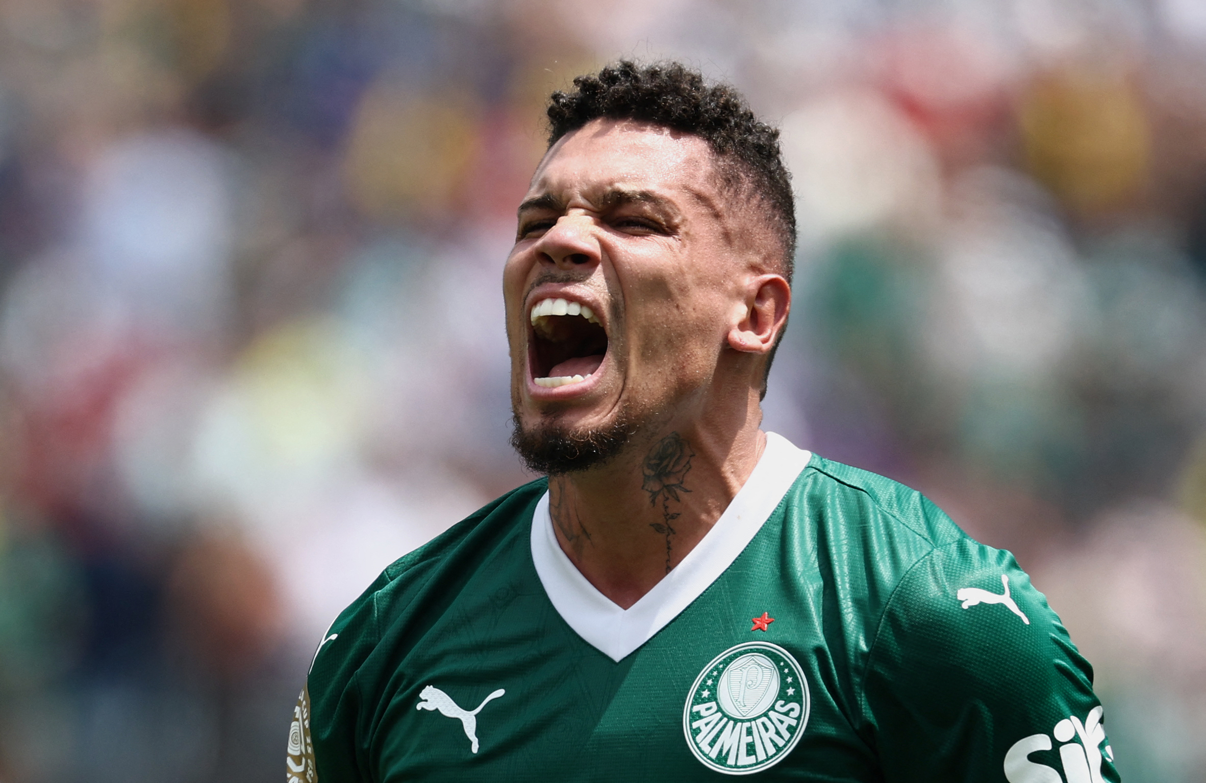 fbl wc club 2025 match49 palmerias botafogo