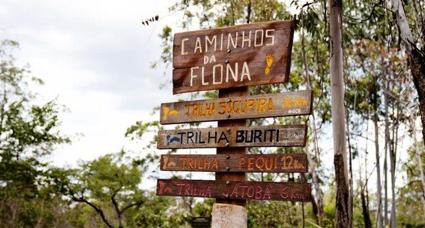 3de7a539 4128 48bb 8c1e aef50c763f43 768x333 1