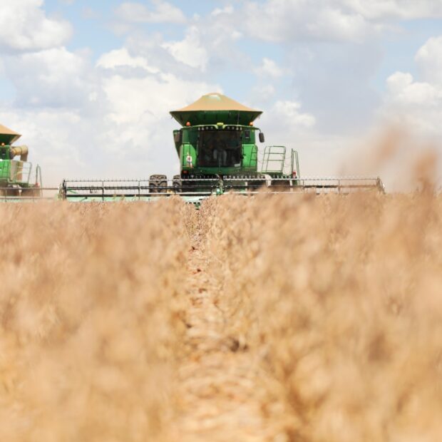 Foto: Renato Alves/Agência Brasília