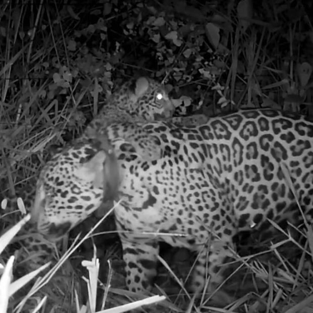 17513014956862bd77a2cf8 1751301495 3x2 lg