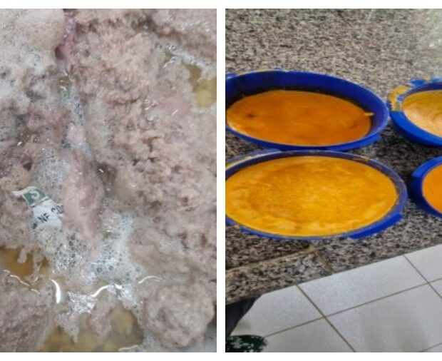 escolas do df servem carne com plástico, couro e resto de rótulo em merenda