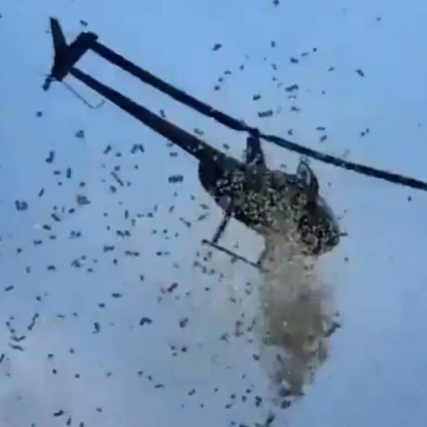 helicóptero joga dinheiro e rosas do céu