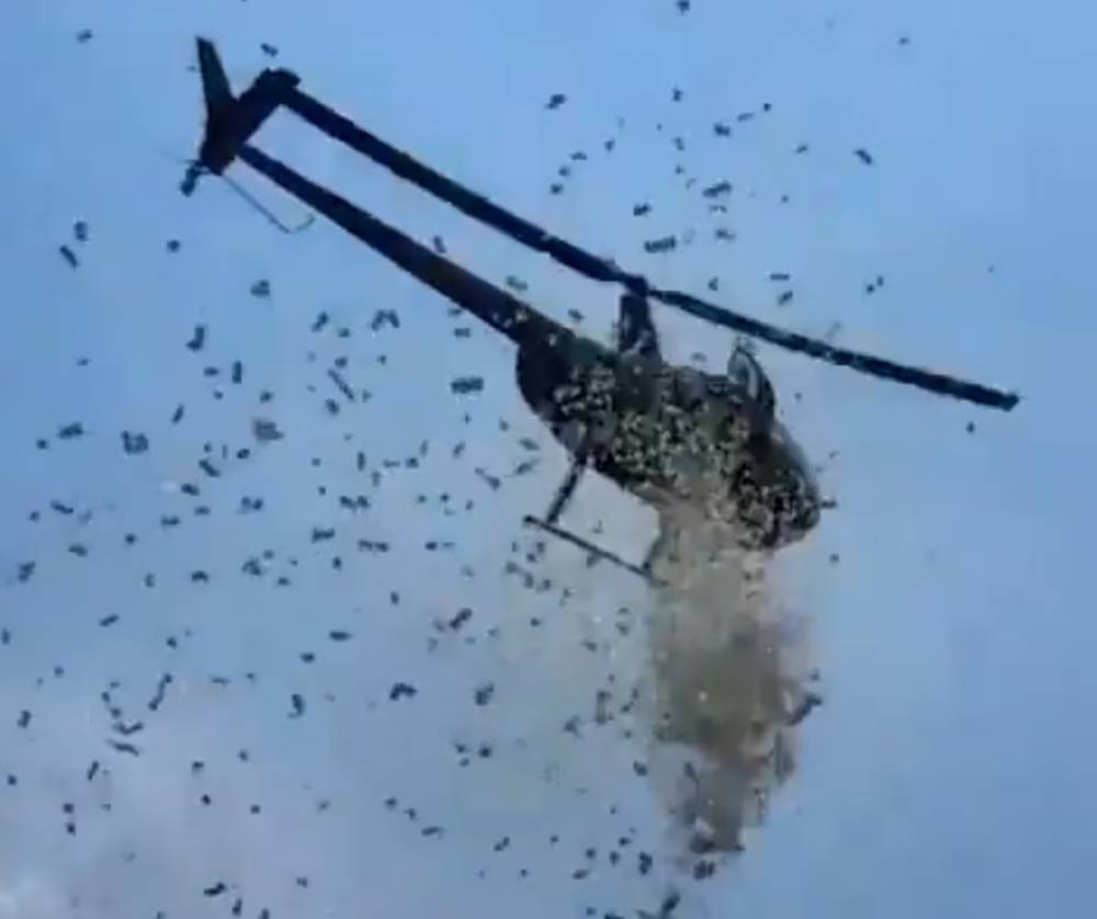 helicóptero joga dinheiro e rosas do céu
