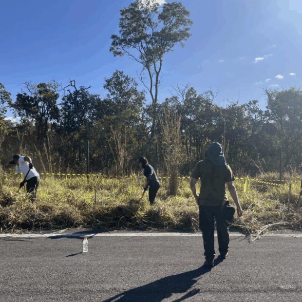 Foto: Divulgação/Brasília Ambiental