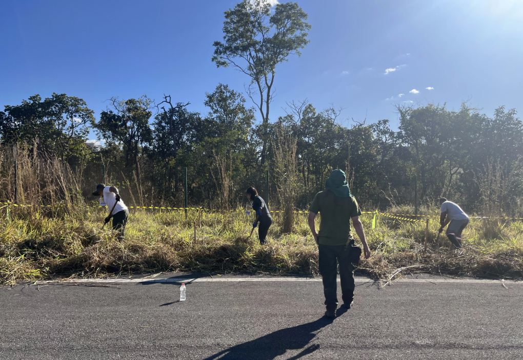 Foto: Divulgação/Brasília Ambiental