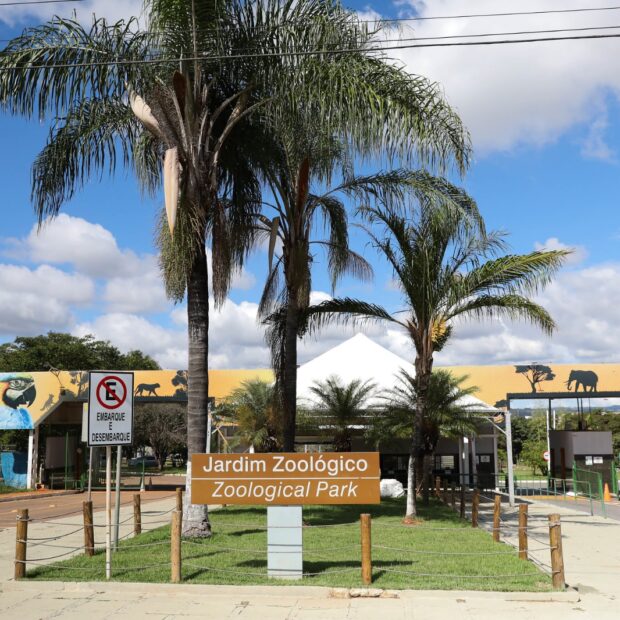 Foto: Lúcio Bernardo Jr./Agência Brasília