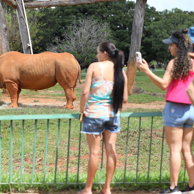 Foto: Paulo H. Carvalho/Agência Brasília