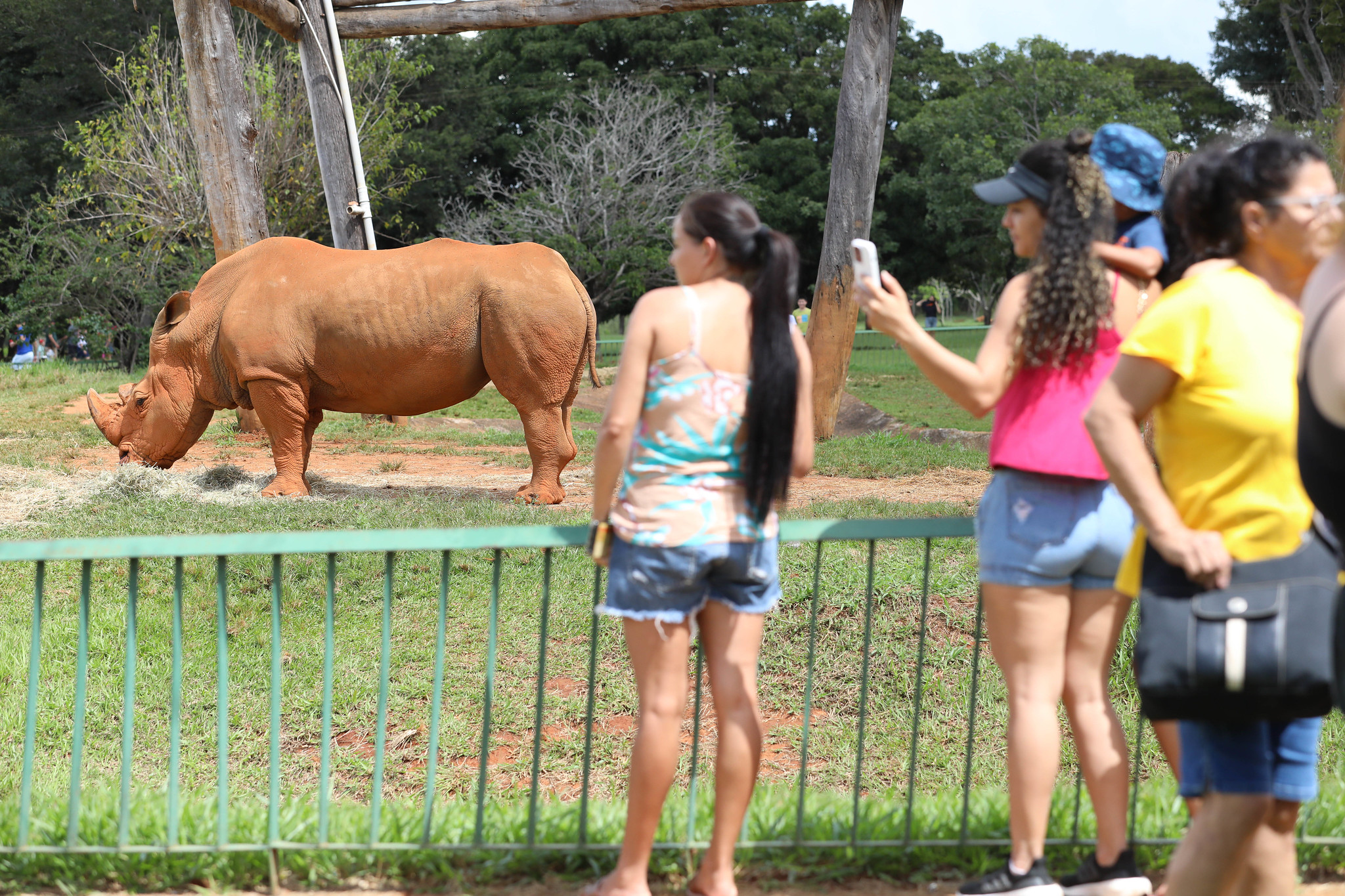 Foto: Paulo H. Carvalho/Agência Brasília
