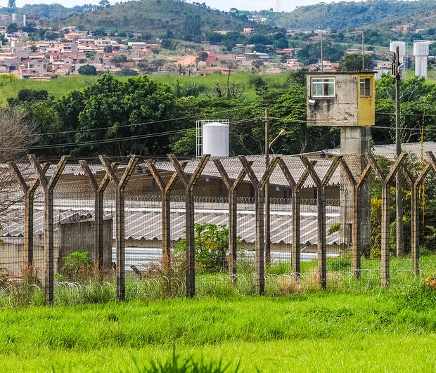 49769636287 e06566e61f c