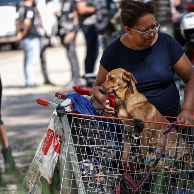 captura de tela 2025 03 14 192337