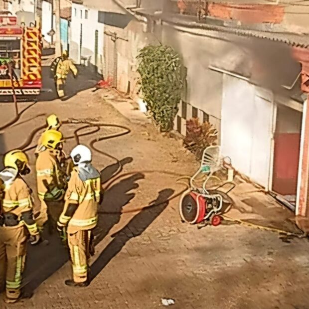 imagem do whatsapp de 2025 07 03 à(s) 18.27.21 29d35646