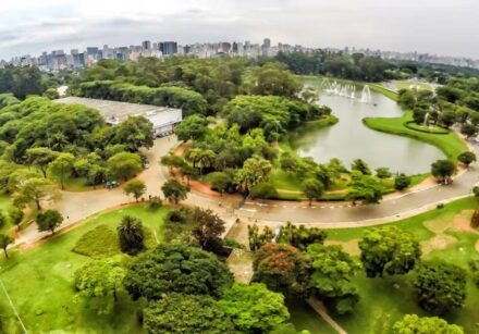 parque ibirapuera