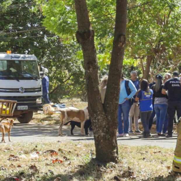 whatsapp image 2025 07 04 at 19.23.37