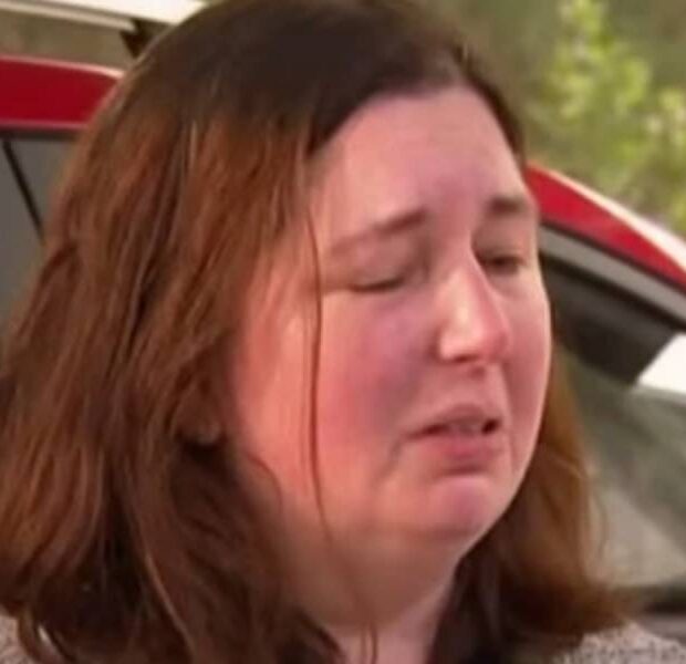 imagem jvp 20 750x450