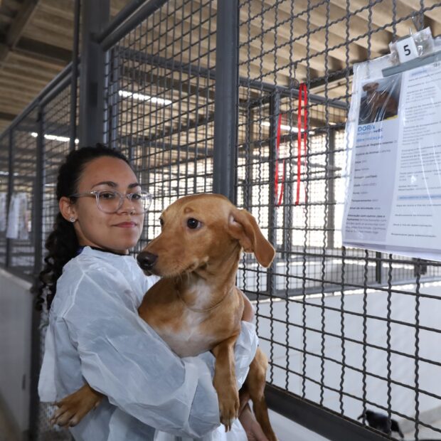 whatsapp image 2025 07 07 at 11.22.39