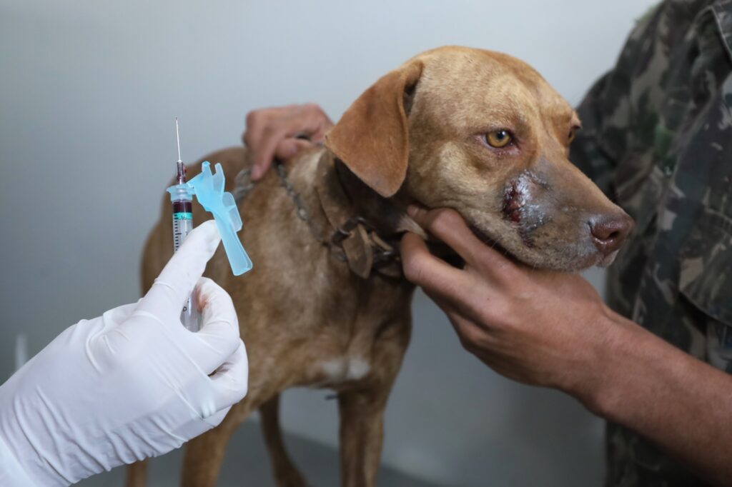 whatsapp image 2025 07 07 at 11.22.23