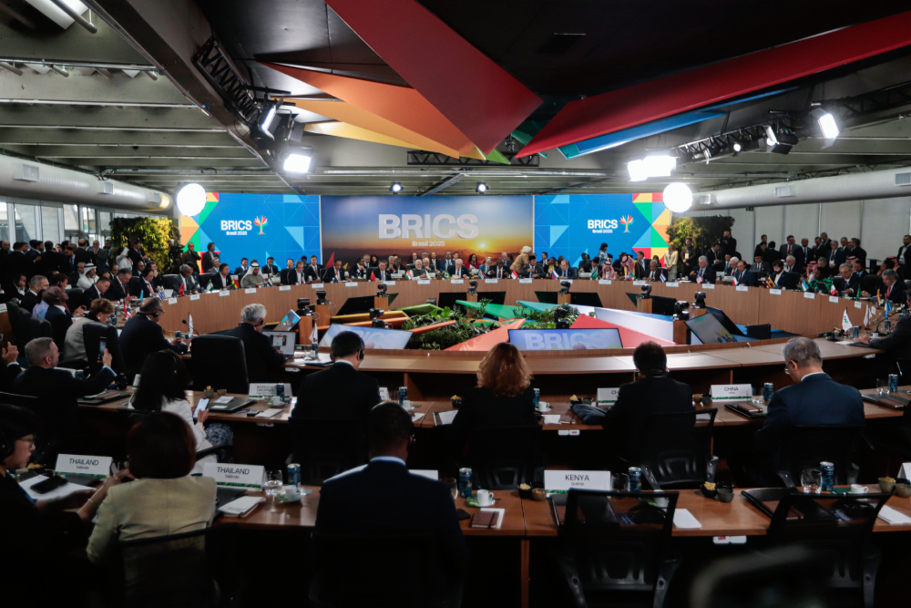 plenária meio ambiente, cop 30 e saúde global no brics (rj).