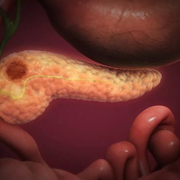 imagem do whatsapp de 2025 07 07 à(s) 11.31.51 b01161b9