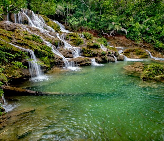 imagem do whatsapp de 2025 07 08 à(s) 10.59.55 512d98db