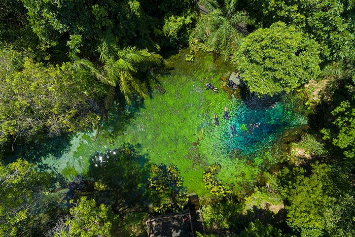 imagem do whatsapp de 2025 07 08 à(s) 10.59.55 b74a2933