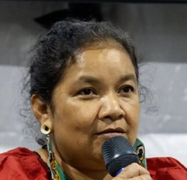 sueli maxakali