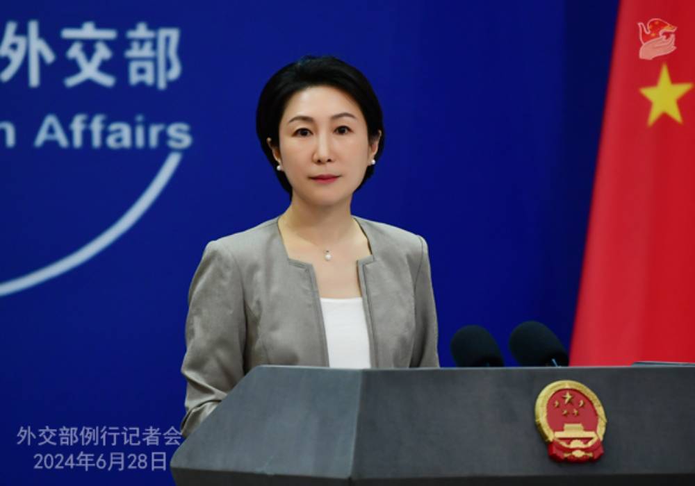 porta voz do ministério das relações exteriores chinês (1)