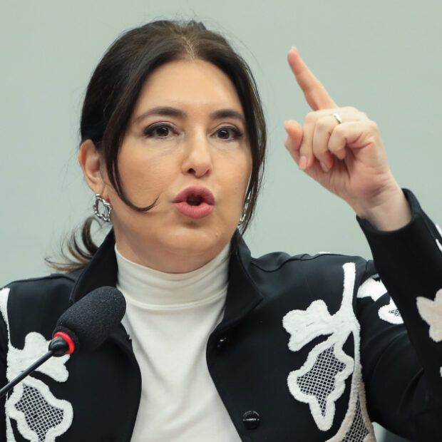 ministra simone tebet, em audiência em 3 comissões da câmara.