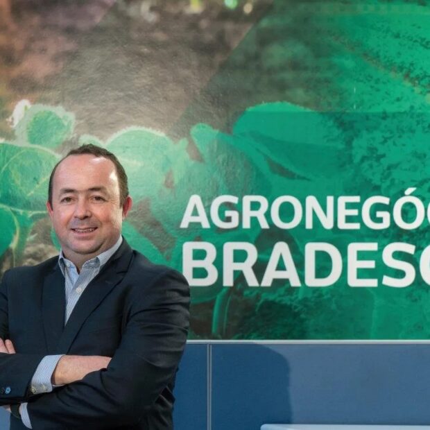 imagem do whatsapp de 2025 07 09 à(s) 15.52.47 ee32b9ff