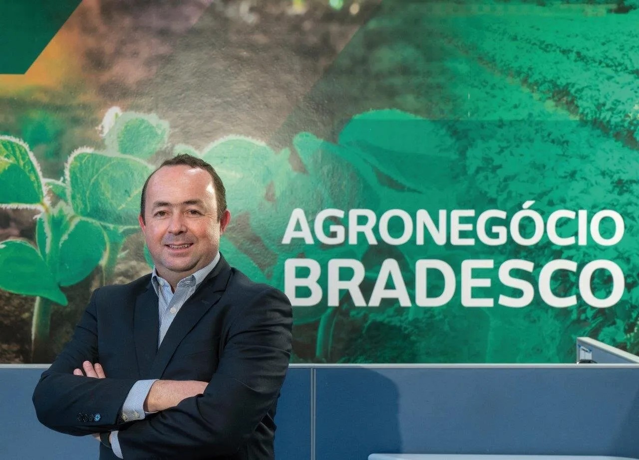 imagem do whatsapp de 2025 07 09 à(s) 15.52.47 ee32b9ff