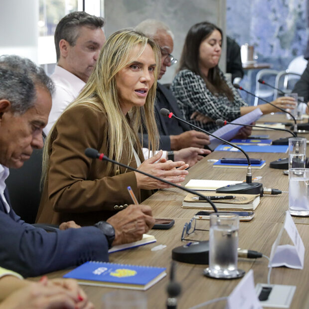 celina leao, vice governadora