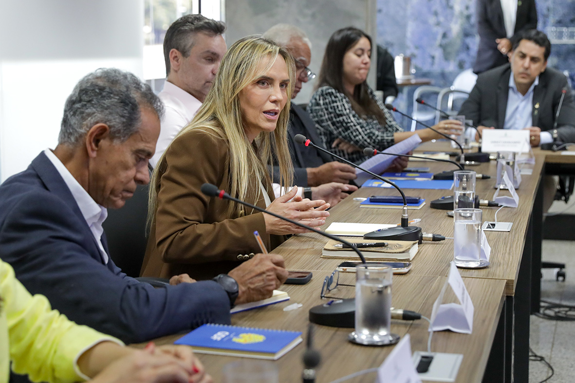 celina leao, vice governadora