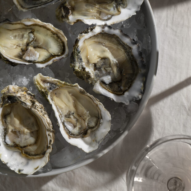 vista prato feito de iguarias de ostras