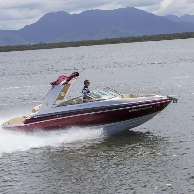 imagem do whatsapp de 2025 07 11 à(s) 15.07.00 5af787ea