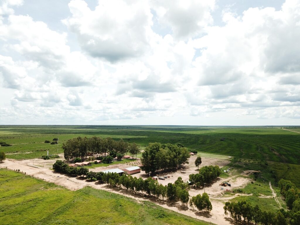 fazenda preferencia brasilagro divulgacao