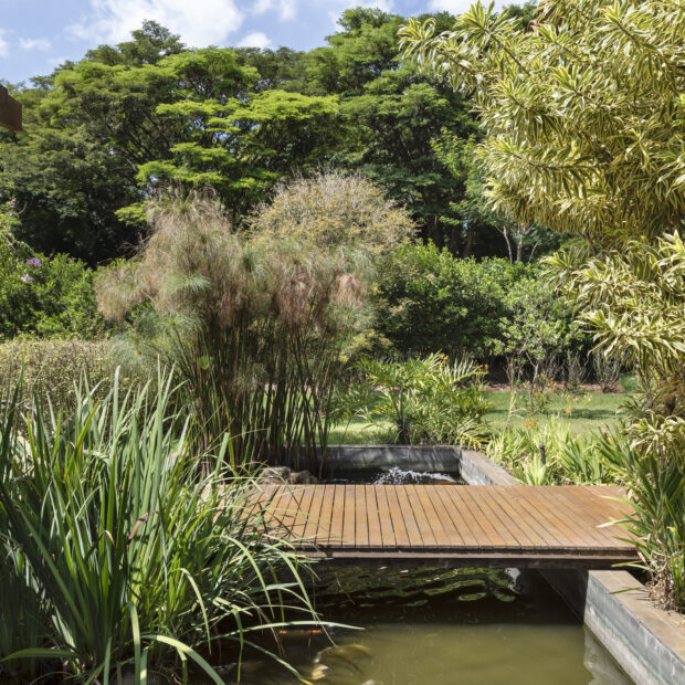 crédito da foto evelyn muller (1)