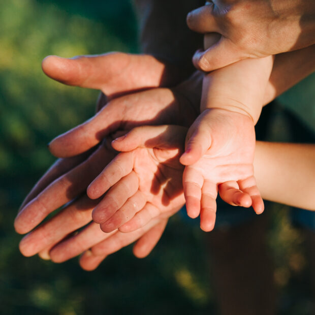 happy beautiful family on the big garden on the dawn time.