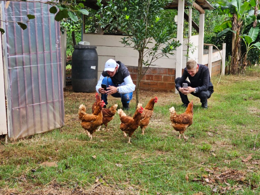 imagem do whatsapp de 2025 07 16 à(s) 10.13.33 2ea6b70e