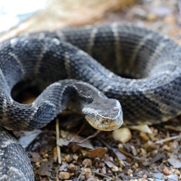 whatsapp image 2025 07 16 at 18.15.03 (1)