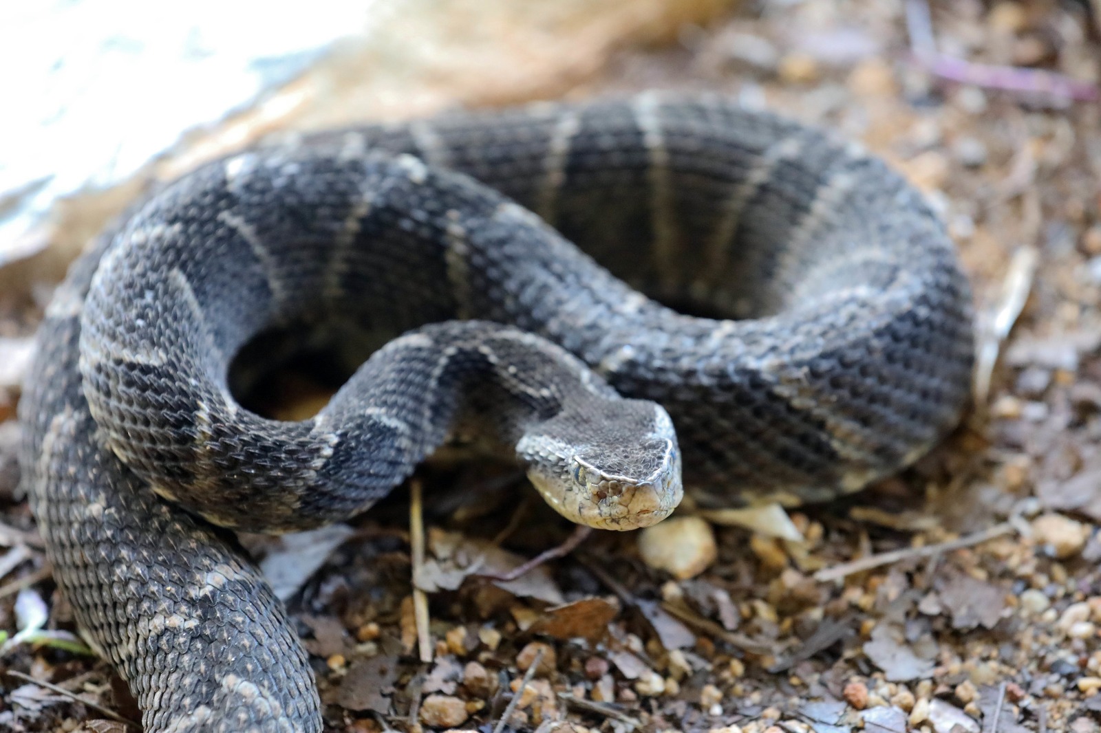 whatsapp image 2025 07 16 at 18.15.03 (1)