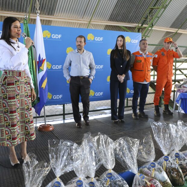 Foto: Paulo H. Carvalho/Agência Brasília