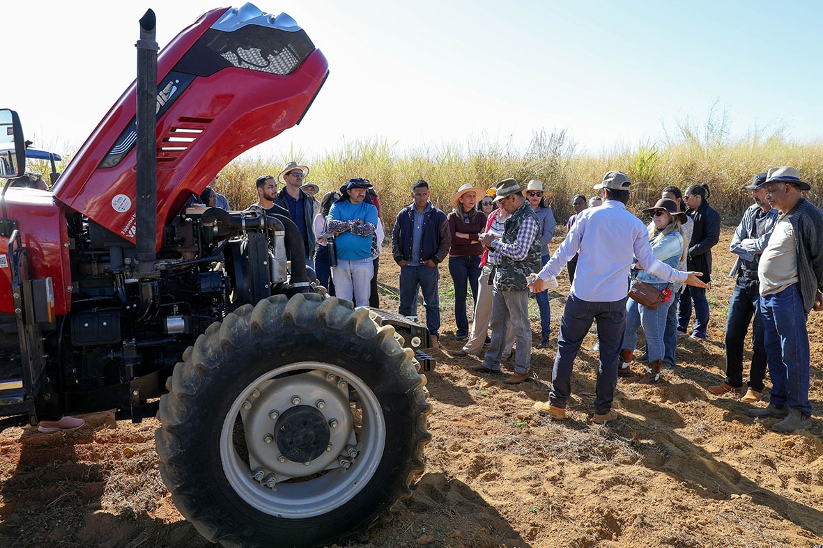 Foto: Matheus H. Souza/Agência Brasília