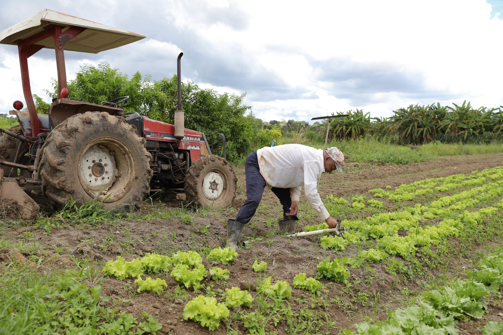 19.5. para matéria etr. foto matheus h. souza 2 agência brasília (1)