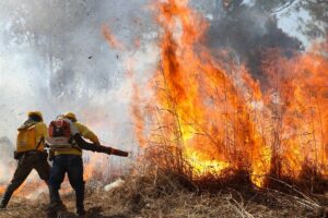 chamas incendio florestal