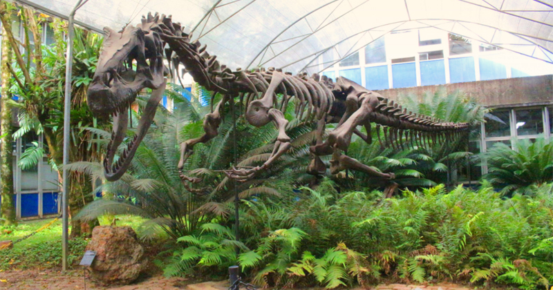 museu de geociencias