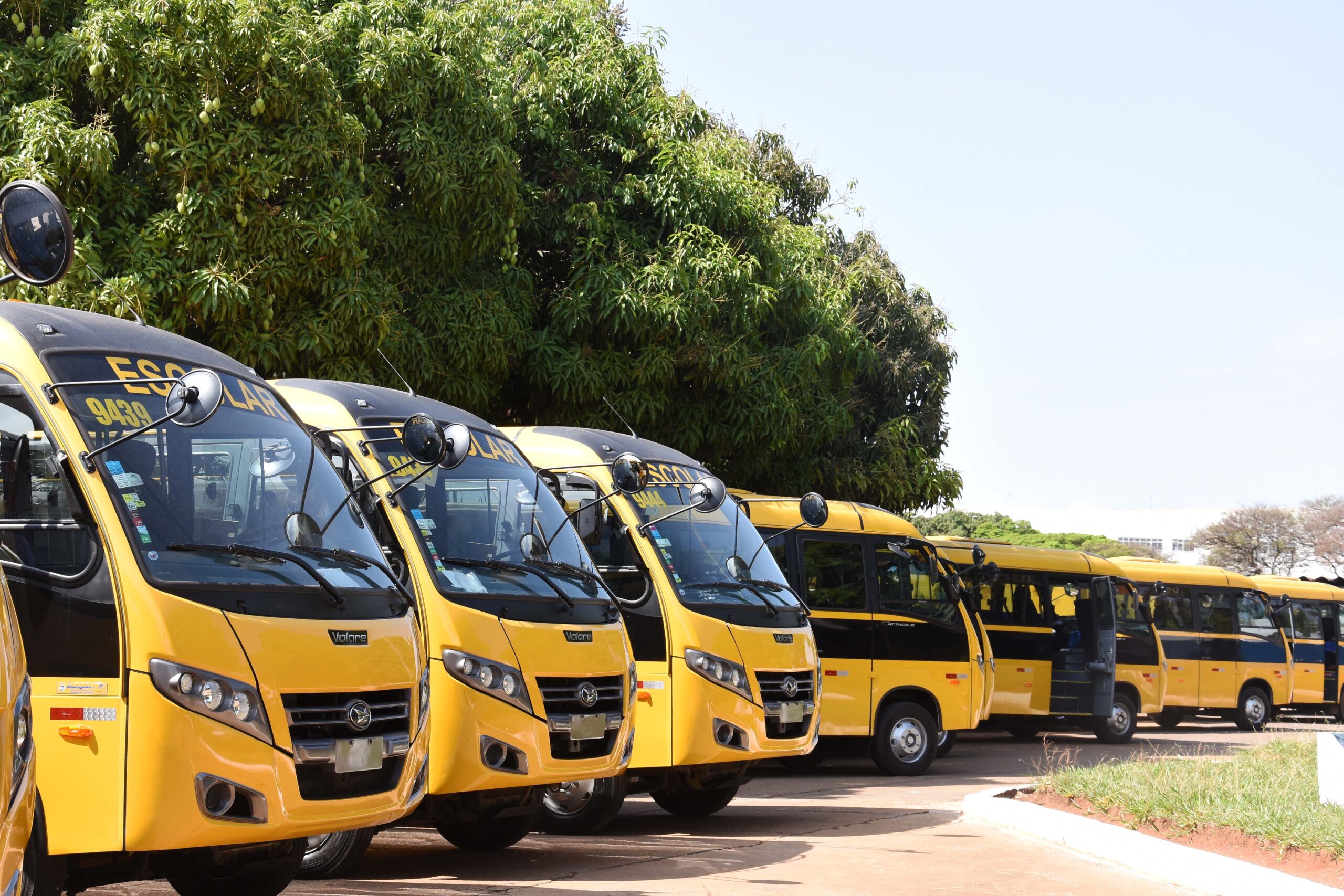 21.7. Ônibus escolares. foto mary leal seedf