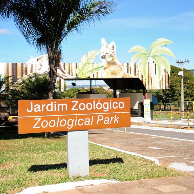 Foto: Paulo H. Carvalho/Agência Brasília